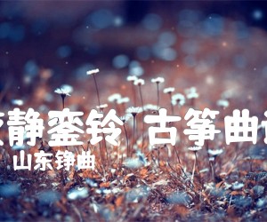 《夜静銮铃  古筝曲谱吉他谱》_山东铮曲_D调_吉他图片谱1张