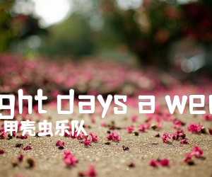 《eight days a week吉他谱》_甲壳虫乐队_文字谱