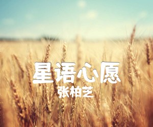 《星语心愿吉他谱》_张柏芝_指弹, 图片谱5张