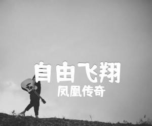 《自由飞翔吉他谱》_凤凰传奇_C调 图片谱2张