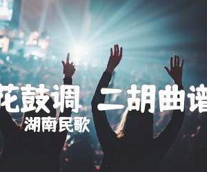 《花鼓调  二胡曲谱吉他谱》_湖南民歌_G调_吉他图片谱1张