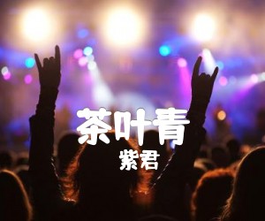 《茶叶青吉他谱》_紫君 图片谱1张