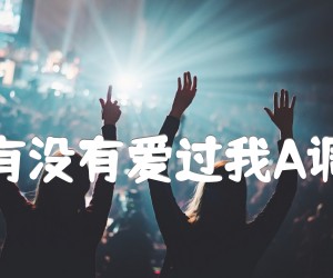 《你到底有没有爱过我A调吉他谱吉他谱》_蓝波_A调 图片谱1张