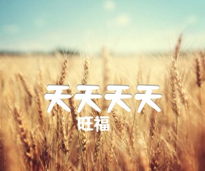 《天天天天吉他谱》_旺福 图片谱2张