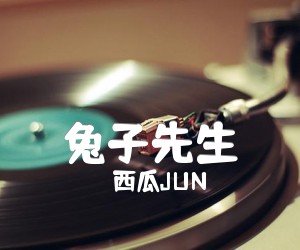 《兔子先生吉他谱》_西瓜JUN_C调 图片谱3张