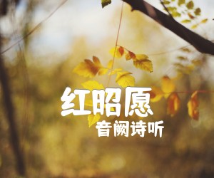 《红昭愿吉他谱》_音阙诗听_C调 图片谱4张