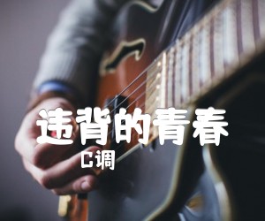 《违背的青春》