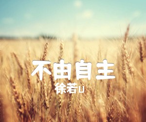 《不由自主吉他谱》_徐若u_G调 图片谱1张