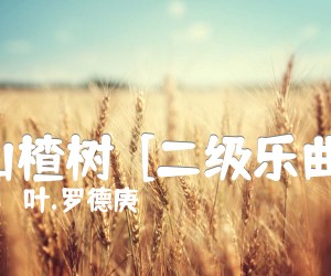 《山楂树  [二级乐曲]吉他谱》_叶.罗德庚 图片谱1张