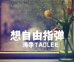 《想自由指弹吉他谱》_涛李TAOLEE_林宥嘉_图片谱标准版 图片谱4张