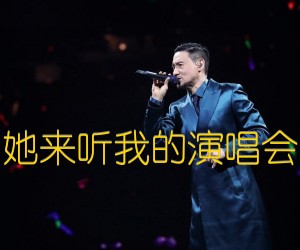 《她来听我的演唱会吉他谱》_张学友_G调 图片谱3张