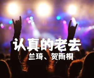 《认真的老去吉他谱》_兰琦、贺雨桐_张希/曹方_图片谱标准版 图片谱1张