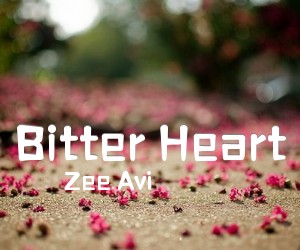 《Bitter Heart吉他谱》_Zee Avi_D调 图片谱2张