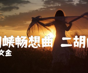 《三门峡畅想曲  二胡曲谱吉他谱》_刘文金 图片谱1张