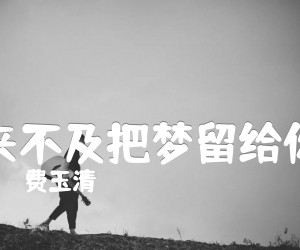 《来不及把梦留给你吉他谱》_费玉清_吉他图片谱1张