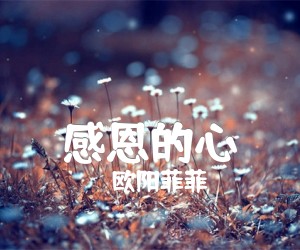 《感恩的心吉他谱》_欧阳菲菲_吉他图片谱1张