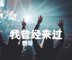 《我曾经来过吉他谱》_蔡琴 图片谱1张