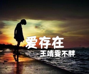 《爱存在吉他谱》_王靖雯不胖_C调 图片谱2张