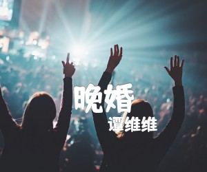 《晚婚吉他谱》_谭维维 图片谱2张