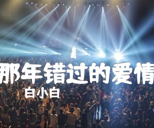 《那年错过的爱情吉他谱》_白小白 图片谱2张