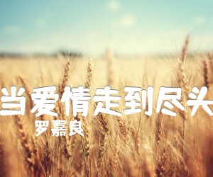 《当爱情走到尽头吉他谱》_罗嘉良_E调 图片谱3张