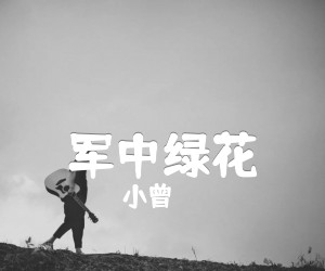 《军中绿花吉他谱》_小曾 图片谱1张