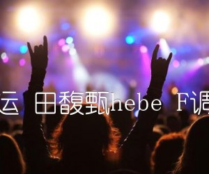 《小幸运 田馥甄hebe F调原版吉他谱》_群星_F调 图片谱1张