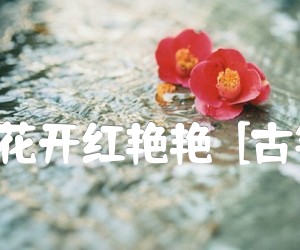 《山丹丹花开红艳艳  [古筝曲谱]吉他谱》_焦金海 图片谱1张