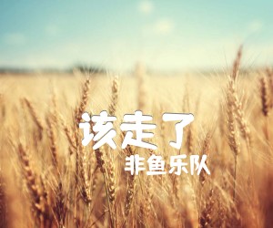 《该走了吉他谱》_非鱼乐队_A调 图片谱1张