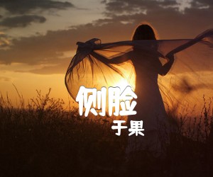 《侧脸吉他谱》_于果_C调 图片谱3张