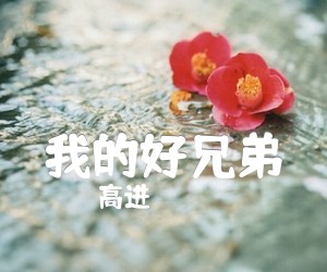 《我的好兄弟吉他谱》_高进_F调 图片谱4张