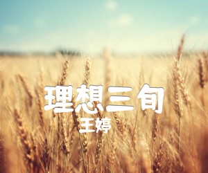 《理想三旬吉他谱》_王婷_吉他图片谱2张