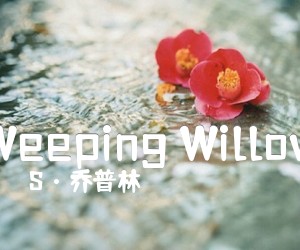 《Weeping Willow吉他谱》_S·乔普林 图片谱1张