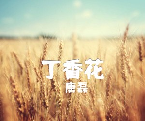 《丁香花吉他谱》_唐磊 图片谱1张