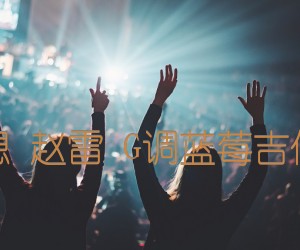 《理想 赵雷 G调蓝莓吉他版吉他谱》_群星_G调 图片谱1张