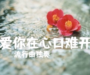 《爱你在心口难开吉他谱》_流行曲独奏_独奏 图片谱4张