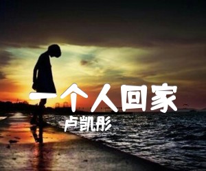 《一个人回家吉他谱》_卢凯彤_G调 图片谱1张