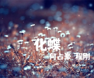 《化蝶吉他谱》_何占豪  程刚_C调 图片谱1张