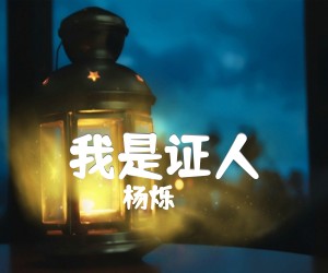 《我是证人吉他谱》_杨烁_吉他图片谱1张