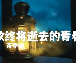 《致终将逝去的青春吉他谱》_茶季杨_G调 图片谱3张