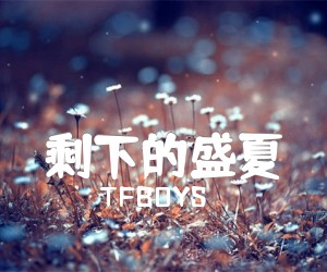 《剩下的盛夏吉他谱》_TFBOYS_E调 图片谱3张