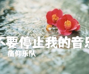 《不要停止我的音乐吉他谱》_痛仰乐队__C调弹唱高清版_C调 图片谱7张