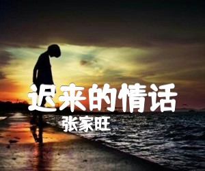 《迟来的情话吉他谱》_张家旺_B调 图片谱3张