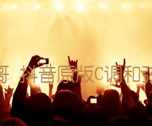 《地铁等待 萝卜哥哥 抖音原版C调和弦编配【西二吉他】吉他谱》_群星_C调 图片谱2张