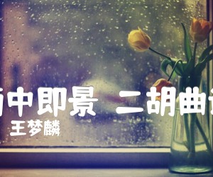 《雨中即景  二胡曲谱吉他谱》_王梦麟 图片谱1张