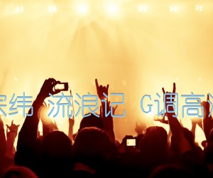 《杨宗纬 流浪记 G调高清版吉他谱》_群星_G调 图片谱1张