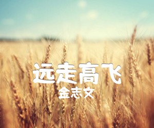 《远走高飞吉他谱》_金志文_未知调 图片谱2张