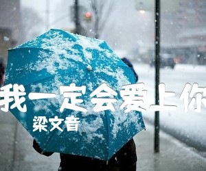 《我一定会爱上你吉他谱》_梁文音_吉他图片谱2张