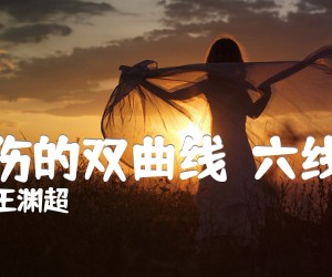 《悲伤的双曲线（六线谱）吉他谱》_王渊超 图片谱2张