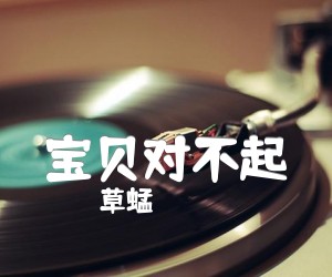 《宝贝对不起吉他谱》_草蜢_文字谱